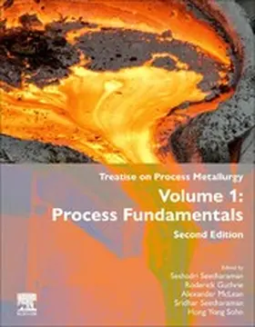 Guthrie / McLean / Seetharaman |  Treatise on Process Metallurgy | eBook | Sack Fachmedien