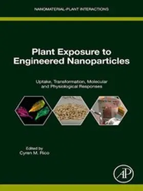 Rico |  Plant Exposure to Engineered Nanoparticles | eBook | Sack Fachmedien