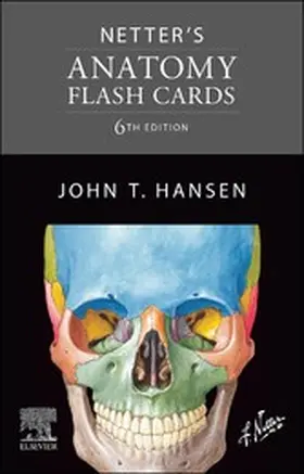 Hansen |  Netter's Anatomy Flash Cards - E-Book | eBook | Sack Fachmedien