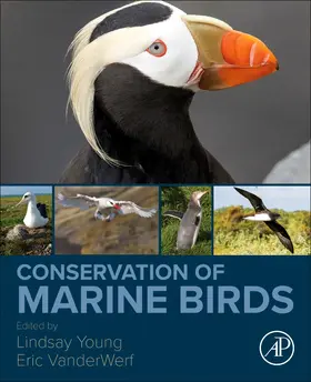 VanderWerf / Young |  Conservation of Marine Birds | Buch |  Sack Fachmedien