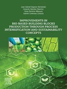 Segovia-Hernandez / Sanchez-Ramirez / Ramírez-Márquez | Improvements in Bio-Based Building Blocks Production Through Process Intensification and Sustainability Concepts | E-Book | sack.de
