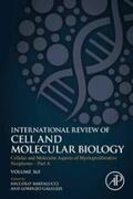 Bartalucci / Galluzzi |  Cellular and Molecular Aspects of Myeloproliferative Neoplasms - Part A | eBook | Sack Fachmedien