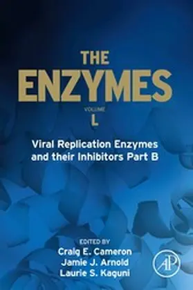 Viral Replication Enzymes and their Inhibitors Part B | E-Book | sack.de