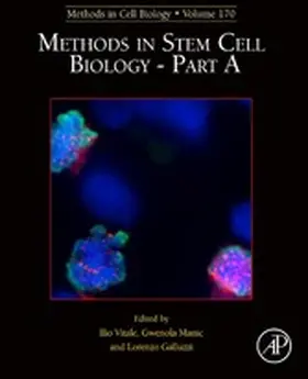 Vitale / Manic / Galluzzi |  Methods in Stem Cell Biology - Part A | eBook | Sack Fachmedien