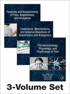 Rajendram AKC / Patel |  The Neuroscience of Pain, Anesthetics, and Analgesics | eBook | Sack Fachmedien