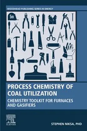 Niksa |  Process Chemistry of Coal Utilization | eBook | Sack Fachmedien