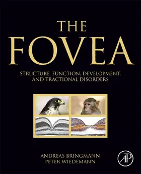 Bringmann / Wiedemann |  The Fovea | Buch |  Sack Fachmedien