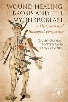 Gabbiani / Coen / Zampieri |  Wound Healing, Fibrosis, and the Myofibroblast | Buch |  Sack Fachmedien