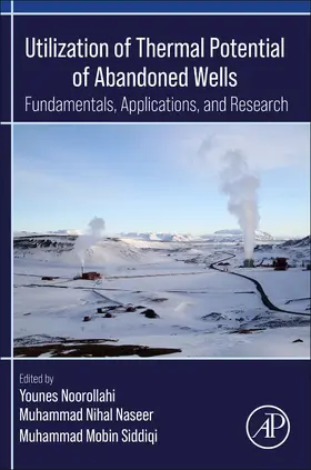 Noorollahi / Naseer / Siddiqi |  Utilization of Thermal Potential of Abandoned Wells | Buch |  Sack Fachmedien