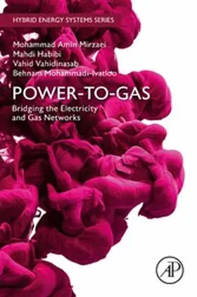 Mirzaei / Habibi / Vahidinasab |  Power-to-Gas: Bridging the Electricity and Gas Networks | eBook | Sack Fachmedien