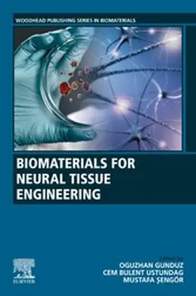 Gunduz / Ustundag / Sengor |  Biomaterials for Neural Tissue Engineering | eBook | Sack Fachmedien