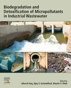 Haq / Kalamdhad / Shah | Biodegradation and Detoxification of Micropollutants in Industrial Wastewater | E-Book | www.sack.de