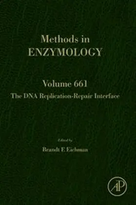 Eichman |  The DNA Replication-Repair Interface | eBook | Sack Fachmedien