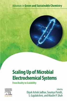 Jadhav / Pandit / Gajalakshmi |  Scaling Up of Microbial Electrochemical Systems | eBook | Sack Fachmedien