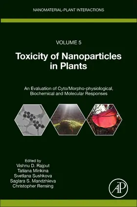 Rensing | Toxicity of Nanoparticles in Plants | Buch | 978-0-323-90774-3 | sack.de