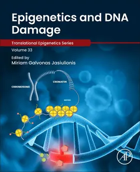 Jasiulionis | Epigenetics and DNA Damage | Buch | 978-0-323-91081-1 | sack.de