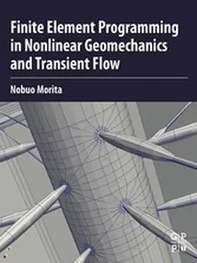 Morita | Finite Element Programming in Non-linear Geomechanics and Transient Flow | E-Book | sack.de