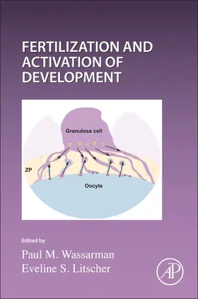 Current Topics in Developmental Biology | Buch | 978-0-323-91241-9 | sack.de