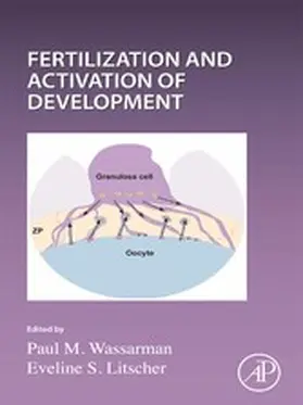 Wassarman / Litscher |  Current Topics in Developmental Biology | eBook | Sack Fachmedien