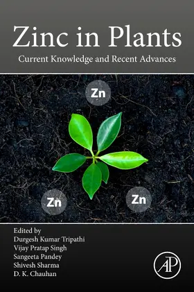 Tripathi / Singh / Pandey |  Zinc in Plants | Buch |  Sack Fachmedien