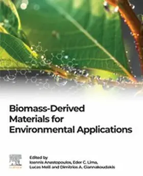 Anastopoulos / Lima / Meili | Biomass-Derived Materials for Environmental Applications | E-Book | sack.de
