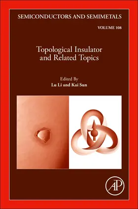 Topological Insulator and Related Topics | Buch | 978-0-323-91509-0 | sack.de