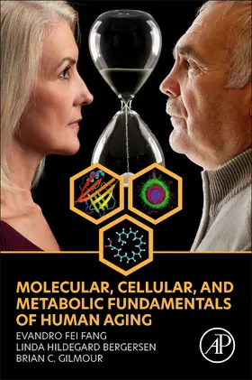 Fang / Bergersen / Gilmour | Molecular, Cellular, and Metabolic Fundamentals of Human Aging | Buch | 978-0-323-91617-2 | sack.de