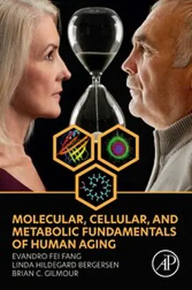 Fang / Bergersen / Gilmour | Molecular, Cellular, and Metabolic Fundamentals of Human Aging | E-Book | sack.de