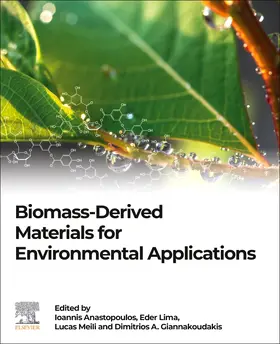 Anastopoulos / Lima / Meili | Biomass-Derived Materials for Environmental Applications | Buch | 978-0-323-91914-2 | sack.de