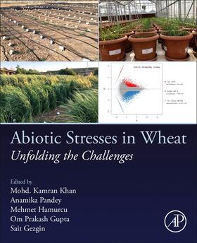 Pandey / Khan / Hamurcu | Abiotic Stresses in Wheat | Buch | 978-0-323-95368-9 | sack.de