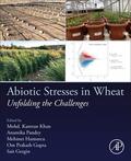 Pandey / Khan / Hamurcu |  Abiotic Stresses in Wheat | Buch |  Sack Fachmedien