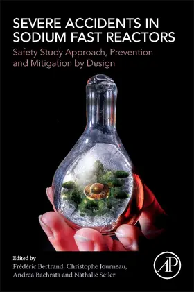 Bertrand / Bachrata / Journeau |  Severe Accidents in Sodium Fast Reactors | Buch |  Sack Fachmedien