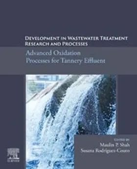 Shah / Rodriguez-Couto | Development in Wastewater Treatment Research and Processes | E-Book | www.sack.de