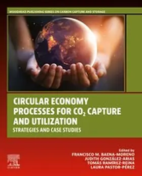 Baena-Moreno / González-Arias / Ramírez-Reina | Circular Economy Processes for CO2 Capture and Utilization | E-Book | www.sack.de
