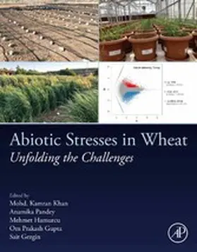 Khan / Pandey / Hamurcu |  Abiotic Stresses in Wheat | eBook | Sack Fachmedien