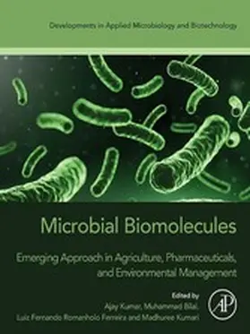 Kumar / Bilal / Ferreira |  Microbial Biomolecules | eBook | Sack Fachmedien