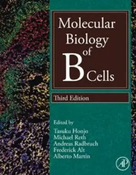 Honjo / Reth / Radbruch |  Molecular Biology of B Cells | eBook | Sack Fachmedien