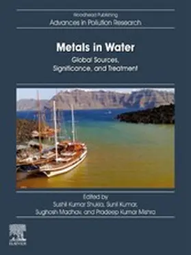 Shukla / Kumar / Madhav |  Metals in Water | eBook | Sack Fachmedien