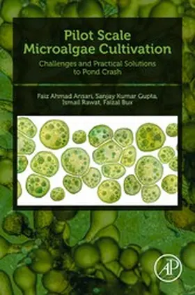 Ansari / Gupta / Rawat |  Pilot Scale Microalgae Cultivation | eBook | Sack Fachmedien