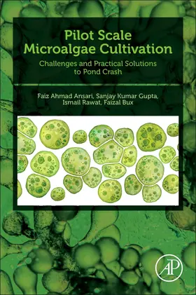 Rawat | Pilot Scale Microalgae Cultivation | Buch | 978-0-323-95962-9 | www.sack.de