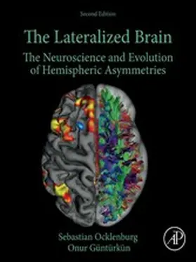 Ocklenburg / Güntürkün |  The Lateralized Brain | eBook | Sack Fachmedien