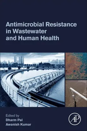 Kumar |  Antimicrobial Resistance in Wastewater and Human Health | Buch |  Sack Fachmedien
