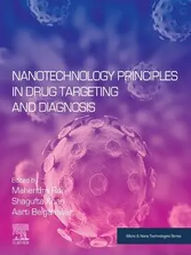 Rai / Khan / Belgamwar | Nanotechnology Principles in Drug Targeting and Diagnosis | E-Book | sack.de