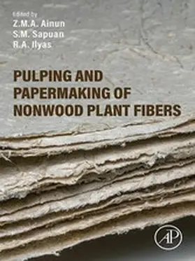 Ainun / Ilyas | Pulping and Papermaking of Nonwood Plant Fibers | E-Book | sack.de