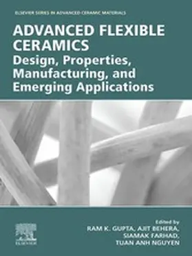 Gupta / Behera / Farhad |  Advanced Flexible Ceramics | eBook | Sack Fachmedien
