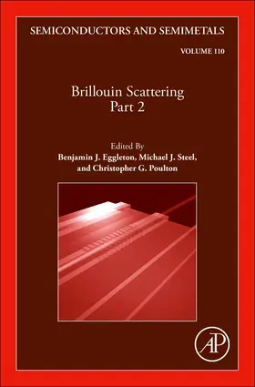  Brillouin Scattering Part 2 | Buch |  Sack Fachmedien