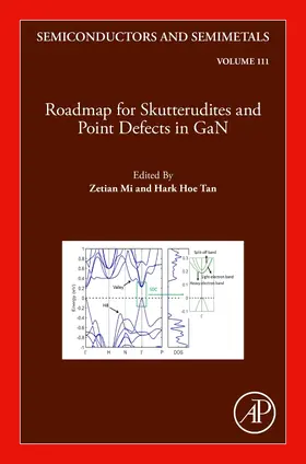 Roadmap for Skutterudites and Point Defects in GaN | Buch | 978-0-323-98933-6 | sack.de