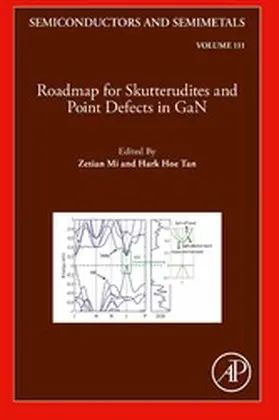 Mi |  Roadmap for Skutterudites and Point Defects in GaN | eBook | Sack Fachmedien