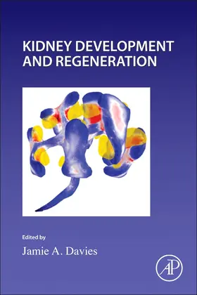 Kidney Development and Regeneration | Buch | 978-0-323-99003-5 | sack.de