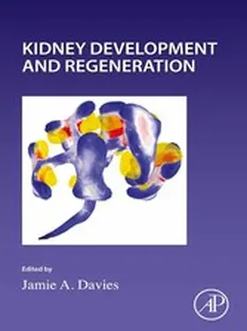 Wassarman / Davies |  Kidney Development and Regeneration | eBook | Sack Fachmedien